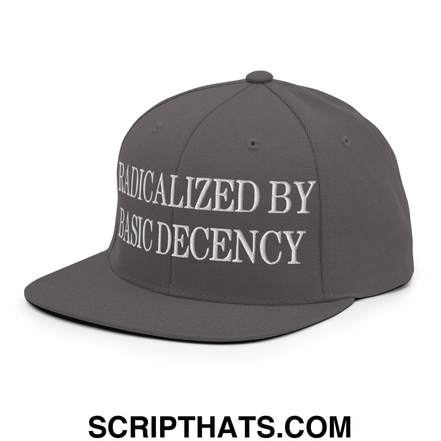Radicalized by Basic Decency Embroidered Flat Bill Brim Snapback Hat Dark Grey