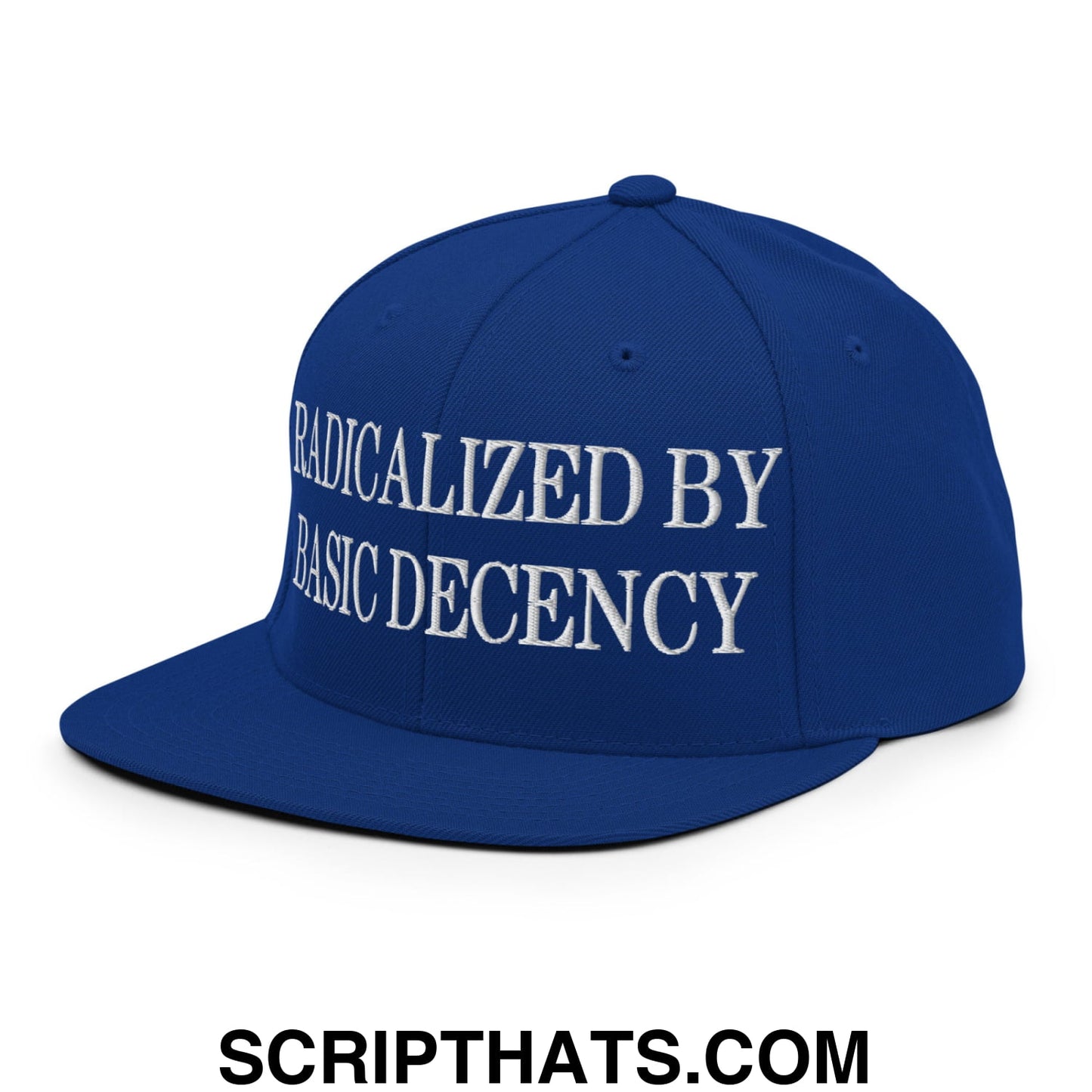Radicalized by Basic Decency Embroidered Flat Bill Brim Snapback Hat Royal Blue