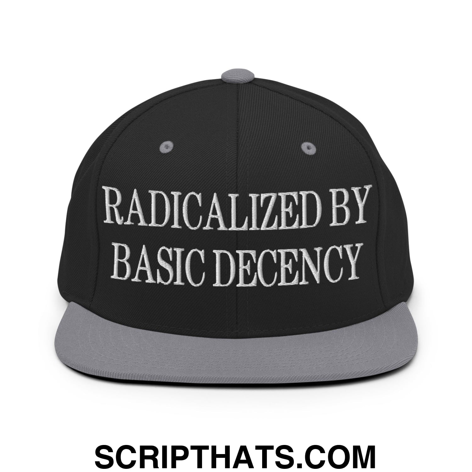 Radicalized by Basic Decency Embroidered Flat Bill Brim Snapback Hat Black Silver