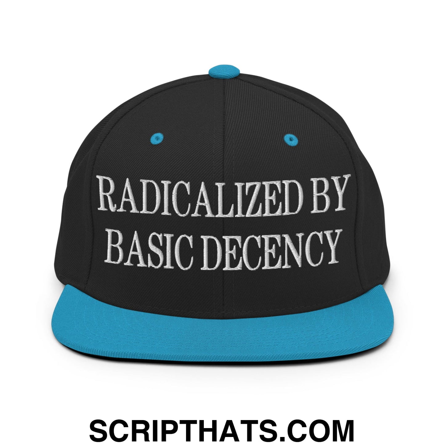 Radicalized by Basic Decency Embroidered Flat Bill Brim Snapback Hat Black Teal