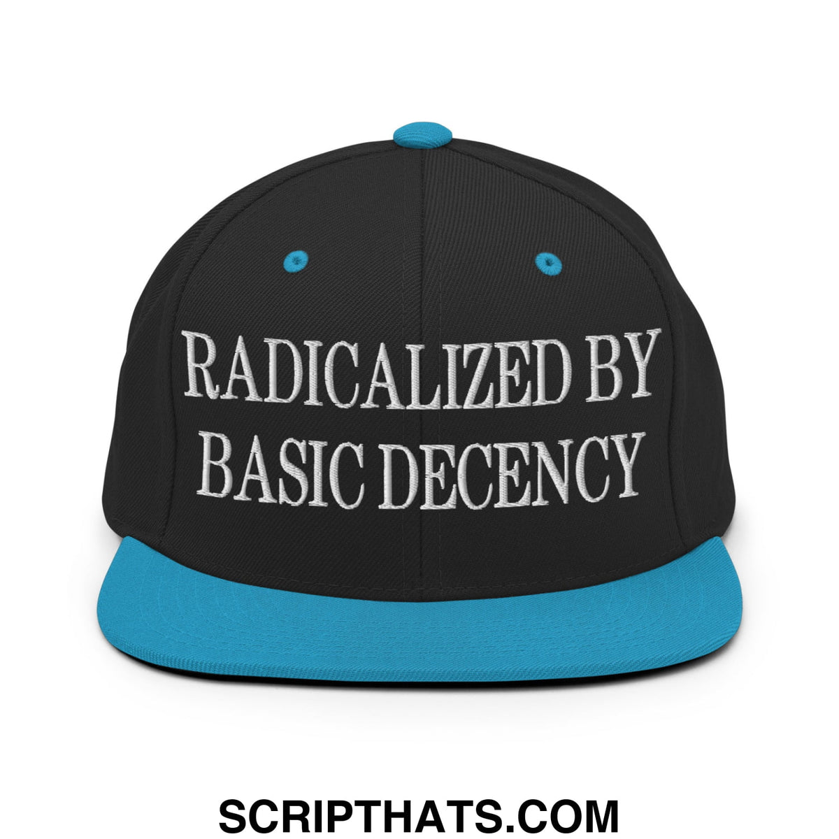 Black snapback cap with teal brim and button featuring white embroidered text radicalized by basic decency