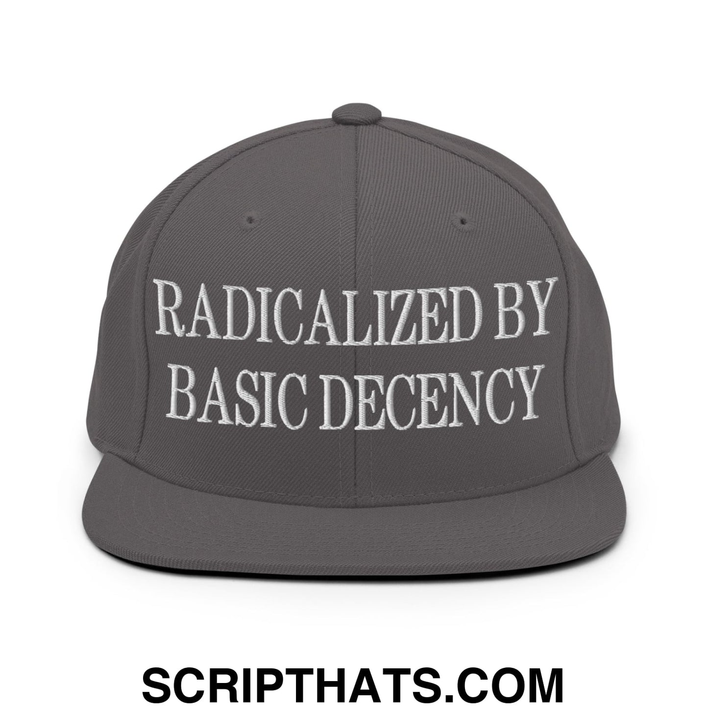 Radicalized by Basic Decency Embroidered Flat Bill Brim Snapback Hat Dark Grey