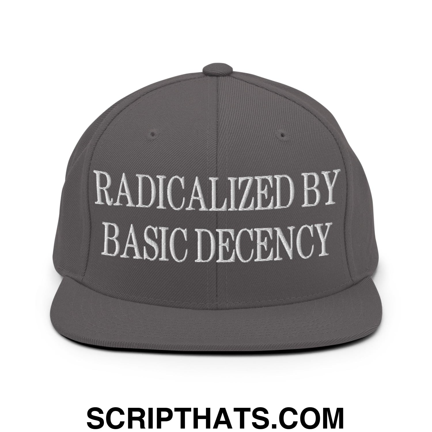 Radicalized by Basic Decency Embroidered Flat Bill Brim Snapback Hat Dark Grey