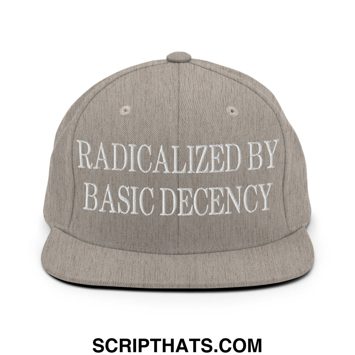 Gray snapback hat with white embroidered text reading radicalized by basic decency on flat bill brim