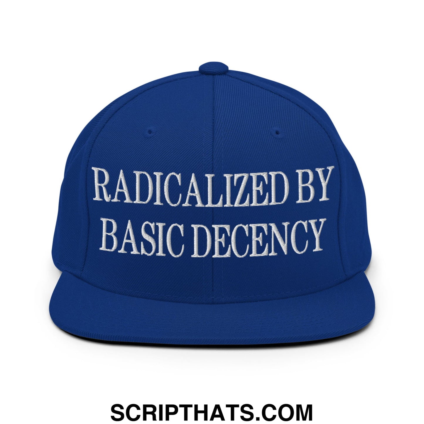 Royal blue snapback hat with white embroidered text radicalized by basic decency flat bill brim design