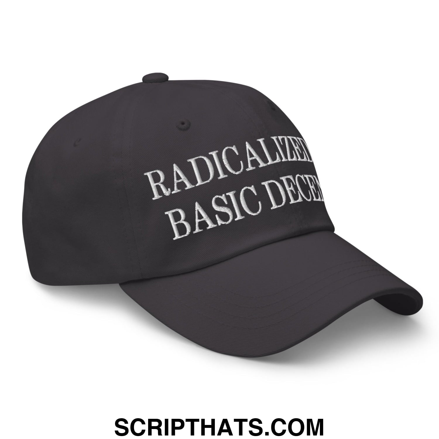 Black unstructured dad hat with white embroidered text reading radicalized by basic decency on front