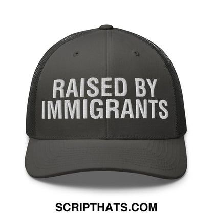 Raised By Immigrants Embroidered Mesh Trucker Hat Charcoal