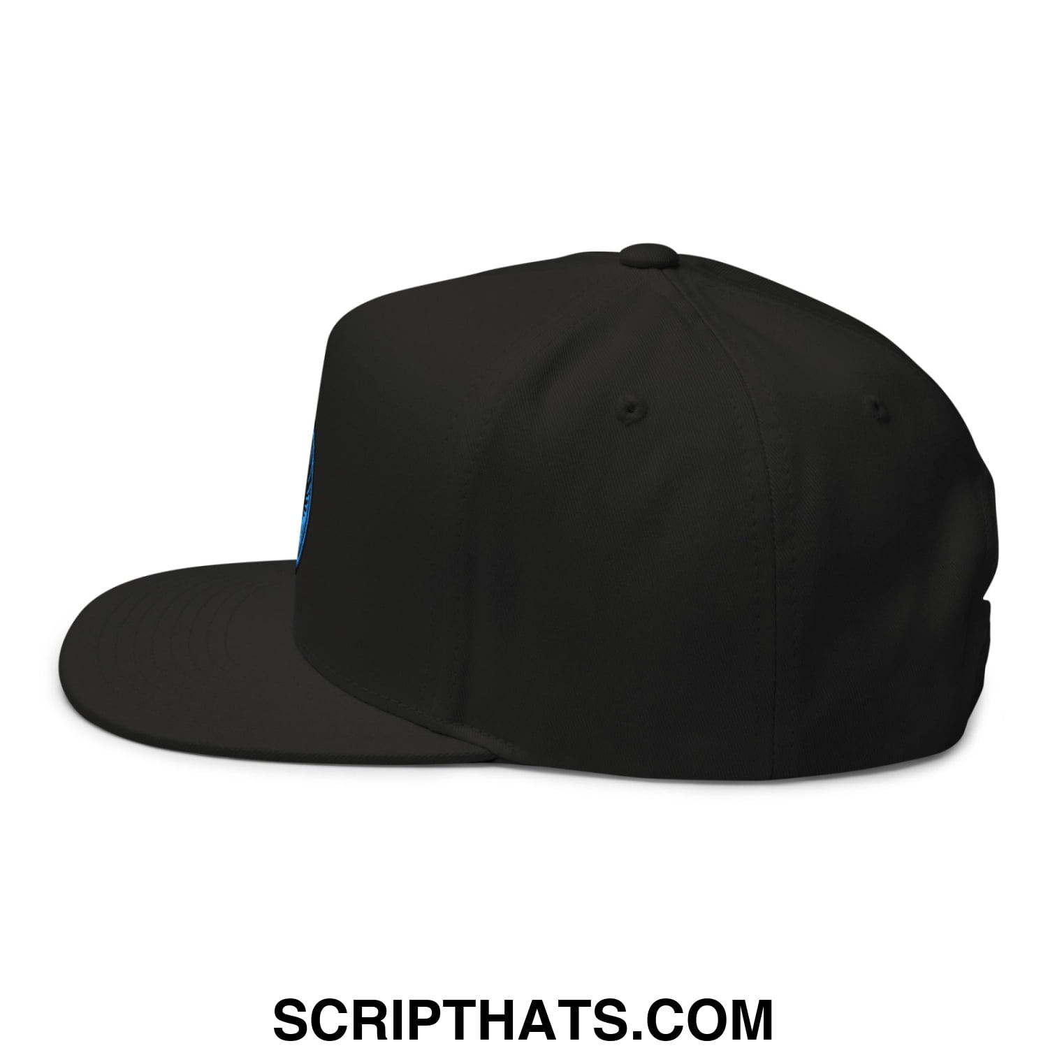 Rebel Loon Minnesota Bird of Resistance Embroidered Flat Bill Brim 5 Panel Snapback Hat Black