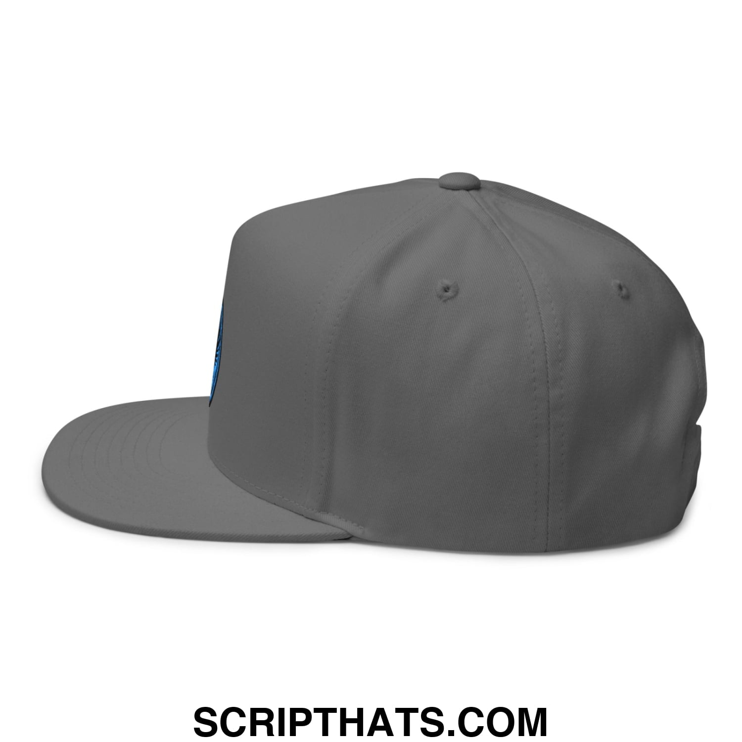 Rebel Loon Minnesota Bird of Resistance Embroidered Flat Bill Brim 5 Panel Snapback Hat Grey