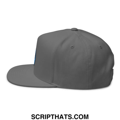 Rebel Loon Minnesota Bird of Resistance Embroidered Flat Bill Brim 5 Panel Snapback Hat Grey