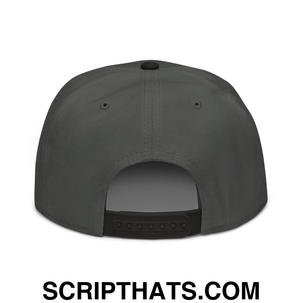 Retired Drug Dealer Embroidered Flat Brim Bill Snapback Hat Black Charcoal gray Charcoal gray