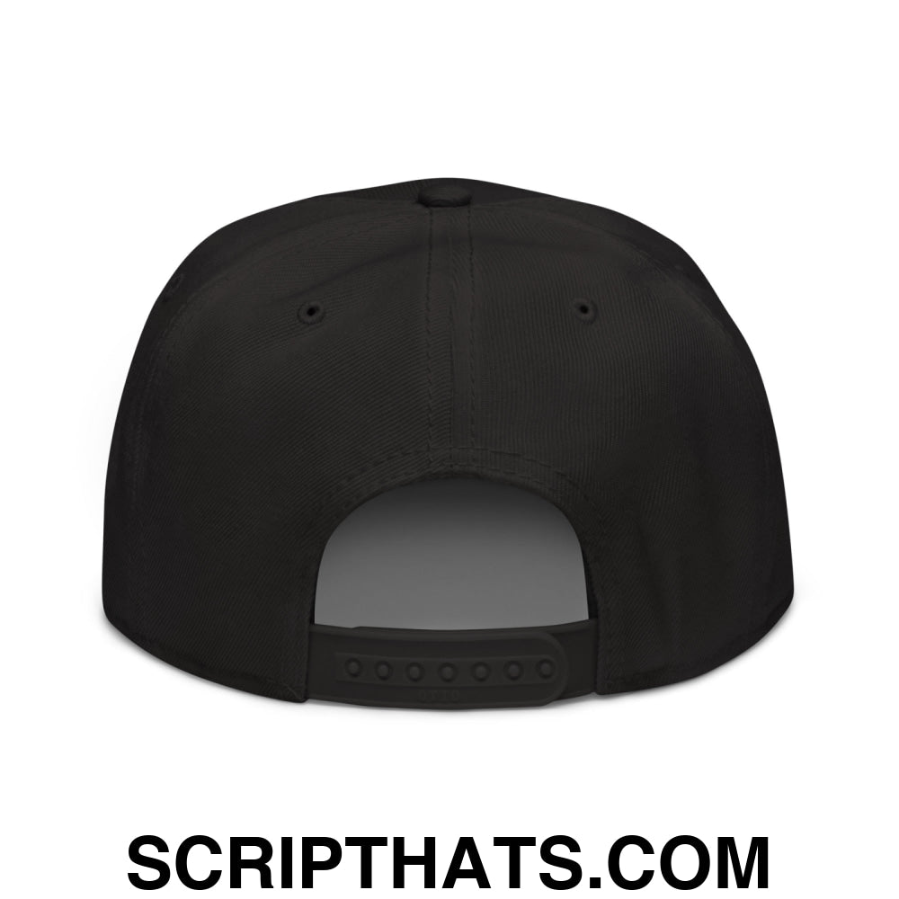 Retired Drug Dealer Embroidered Flat Brim Bill Snapback Hat Black