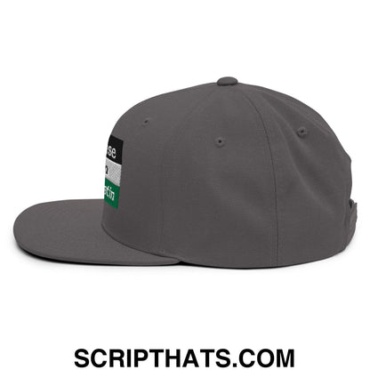 Gray Saoirse don Phalaistin snapback hat with a flat bill and a rectangular patch of black white and green stripes