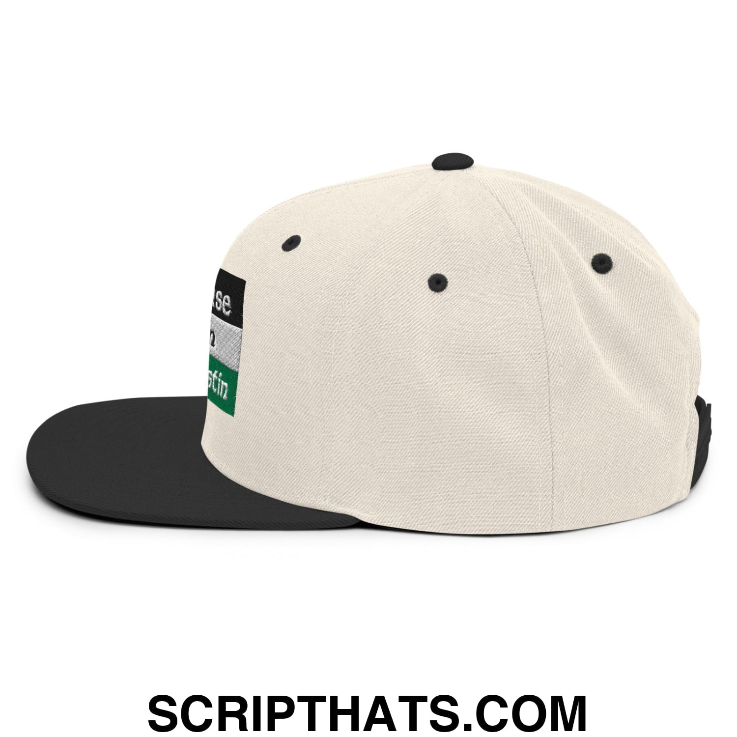 Off-white and black saoirse don phalaistin embroidered snapback hat with a rectangular green gray and white patch