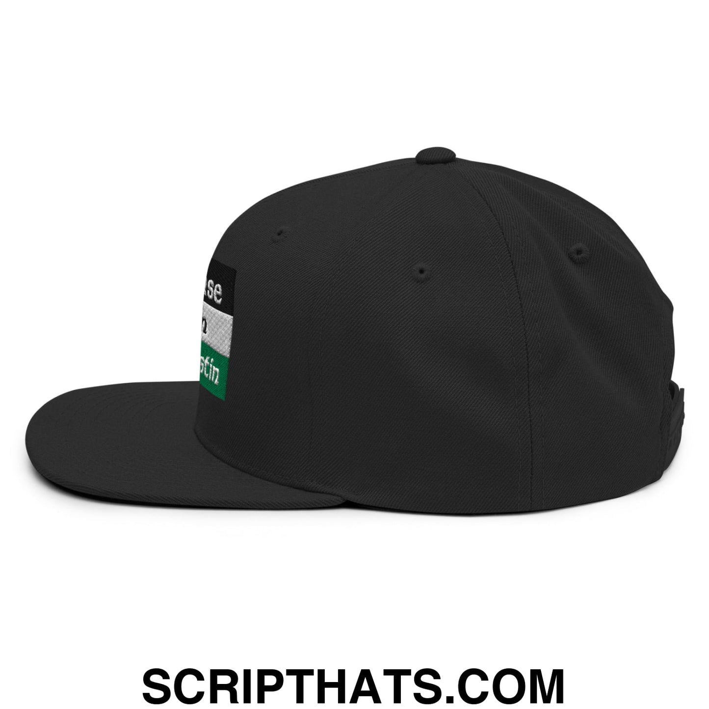 Black snapback cap with rectangular patch featuring white gray and green horizontal stripes embroidered flat bill brim