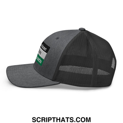 Dark gray saoirse don phalaistin embroidered mesh trucker hat with adjustable strap and air force patch on side