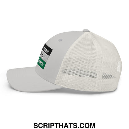 Light gray saoirse don phalaistin embroidered mesh trucker hat with adjustable strap and black green patch on the side
