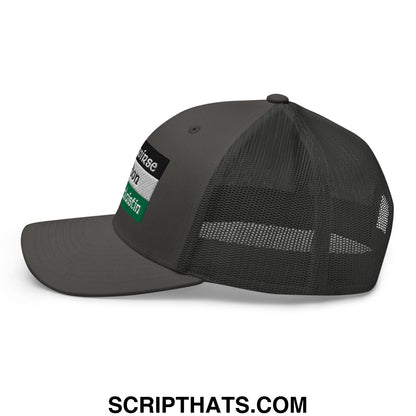 Dark gray saoirse don phalaistin embroidered mesh trucker hat with adjustable strap and air force patch on the side