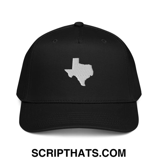 State of Texas Silhouette V2 Embroidered Baseball Snapback Hat Black