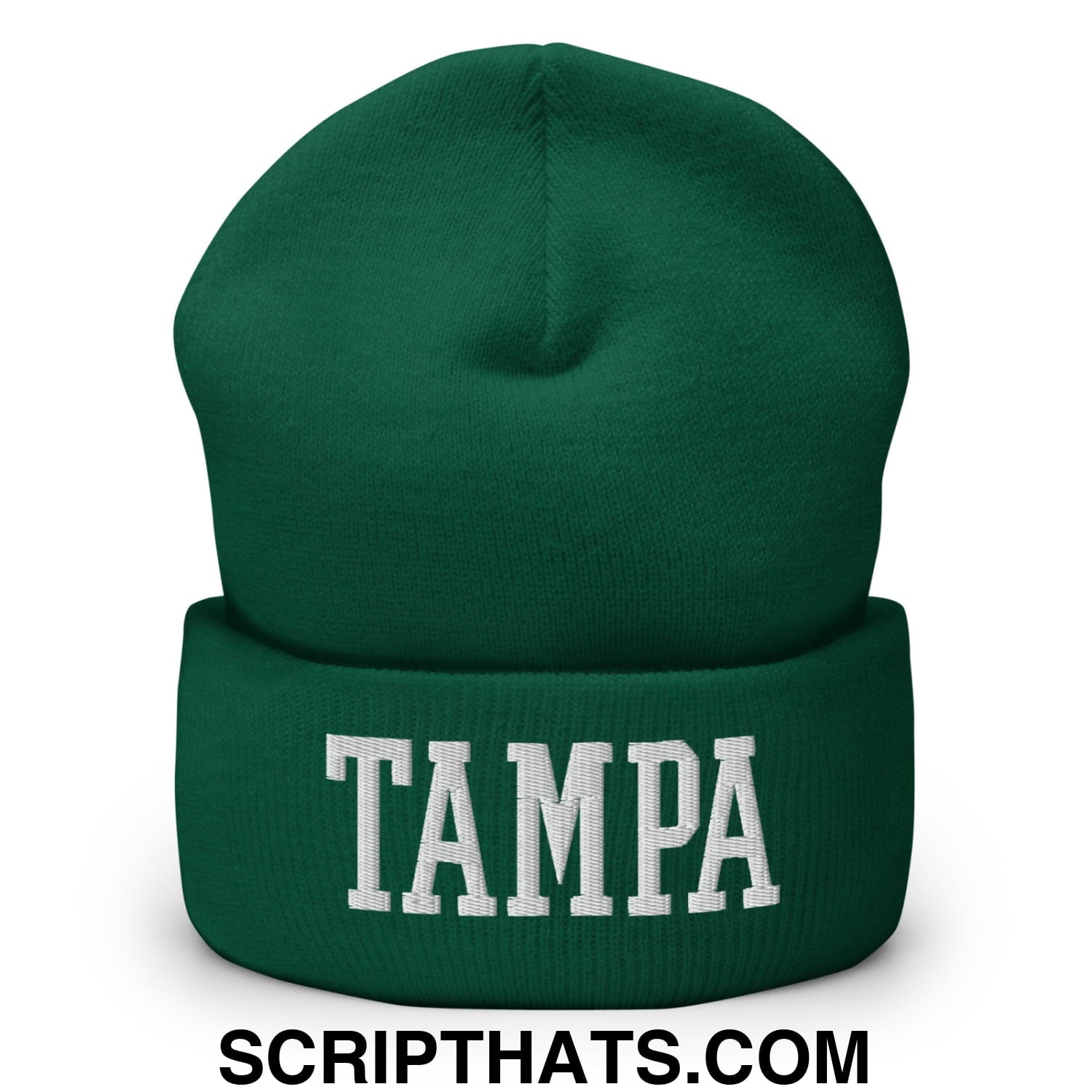 Tampa Varsity College Block Embroidered Knit Cuffed Beanie Spruce