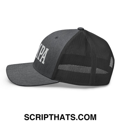 Tampa Varsity College Block Embroidered Mesh Trucker Hat Dark Heather Gray