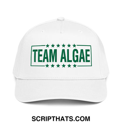 White baseball snapback hat with green embroidered team algae text framed by stars inspired by lincoln memorial