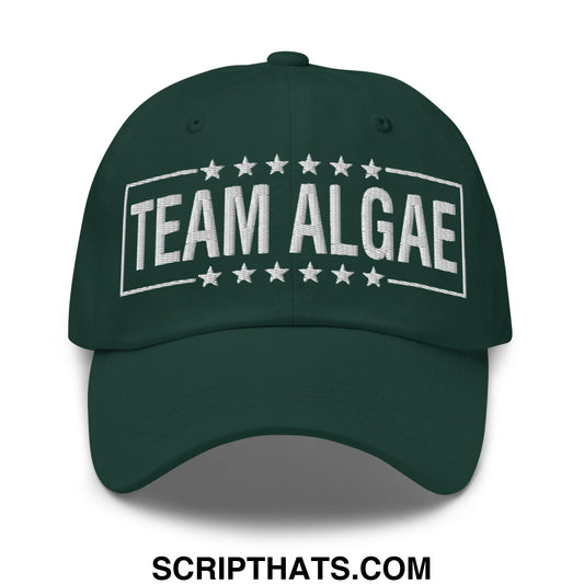 Dark green unstructured dad hat with white embroidered team algae text and stars inspired by lincoln memorial pool