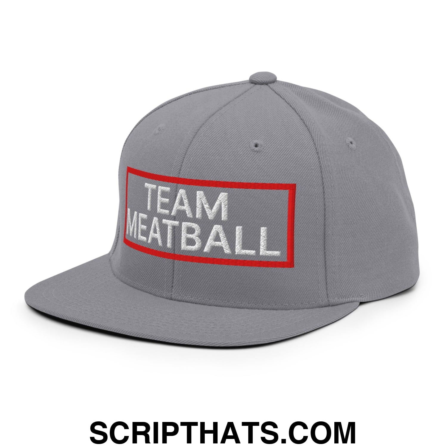 Team Meatball Embroidered Flat Brim Bill Snapback Hat Silver