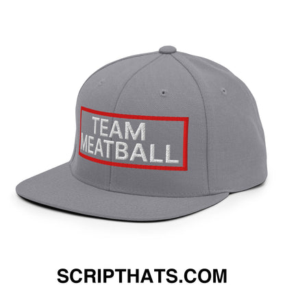 Team Meatball Embroidered Flat Brim Bill Snapback Hat Silver