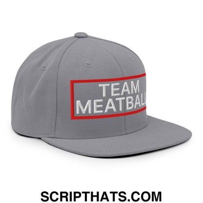 Team Meatball Embroidered Flat Brim Bill Snapback Hat Silver
