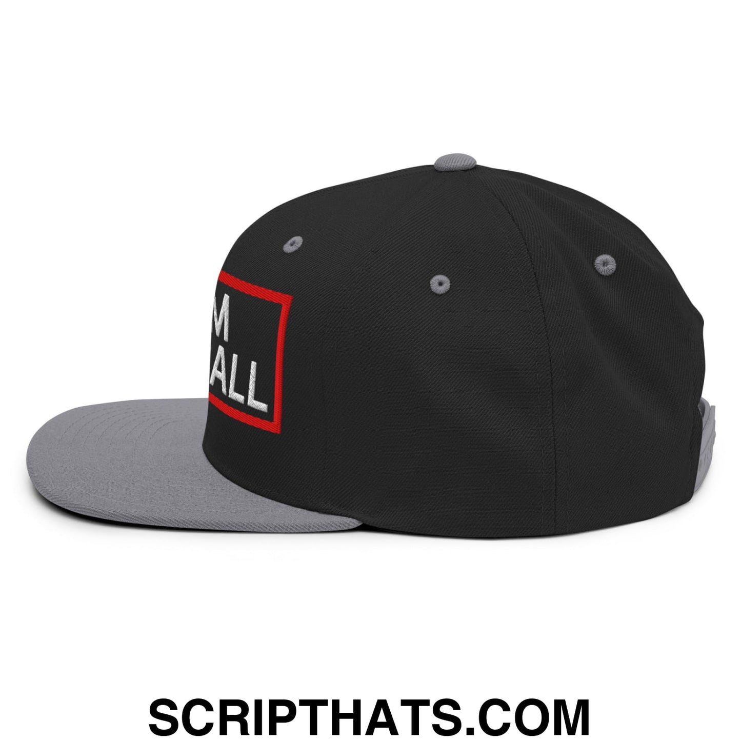 Team Meatball Embroidered Flat Brim Bill Snapback Hat Black Silver