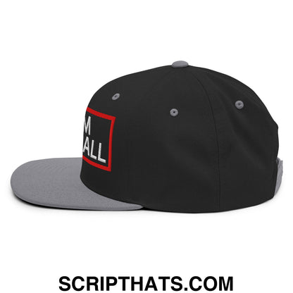 Team Meatball Embroidered Flat Brim Bill Snapback Hat Black Silver