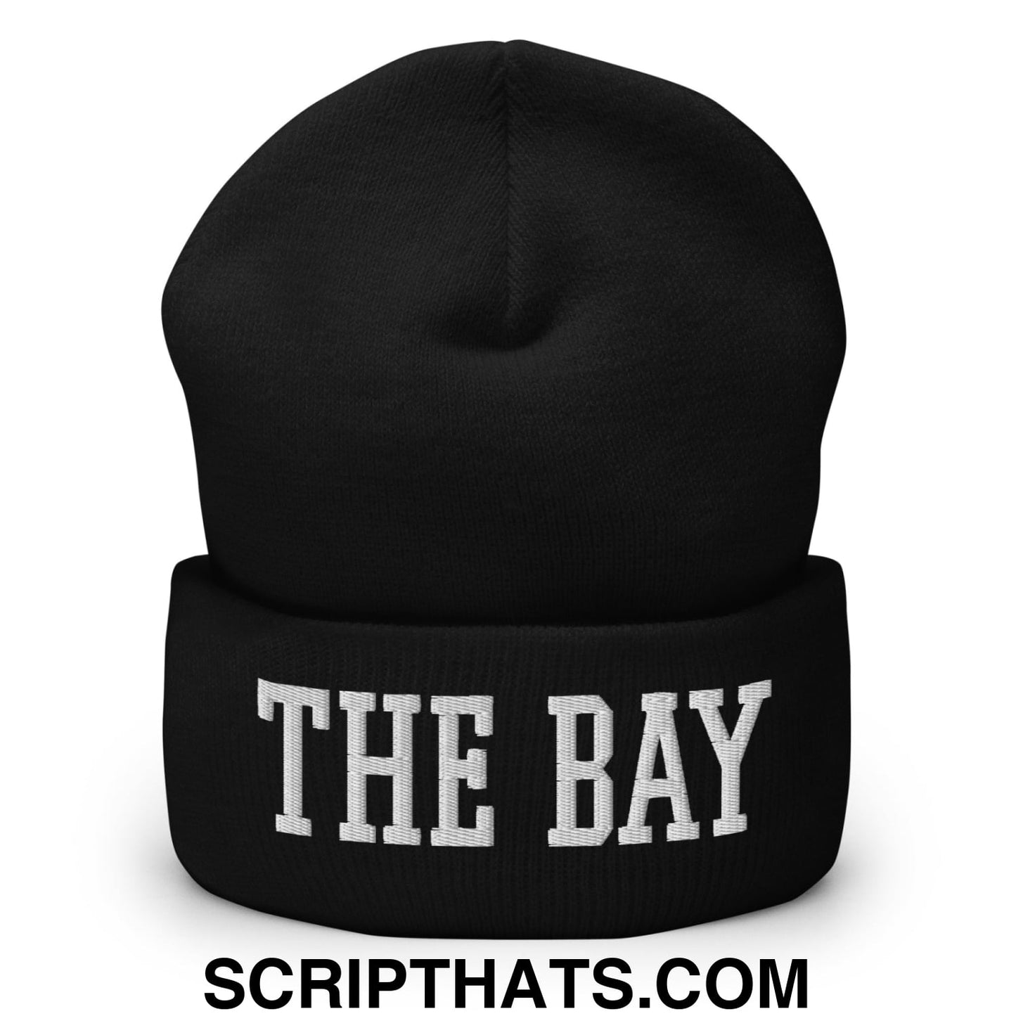 The Bay Varsity College Block Embroidered Knit Cuffed Beanie Black