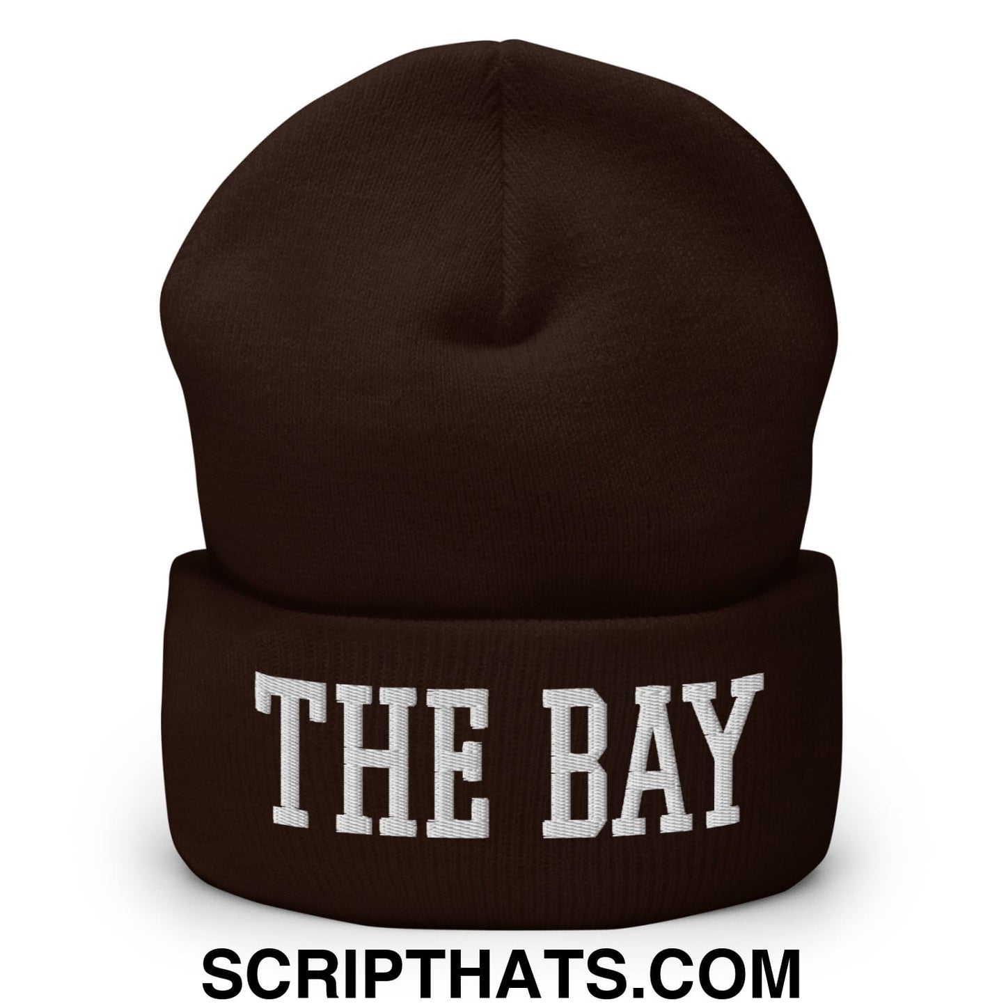 The Bay Varsity College Block Embroidered Knit Cuffed Beanie Brown