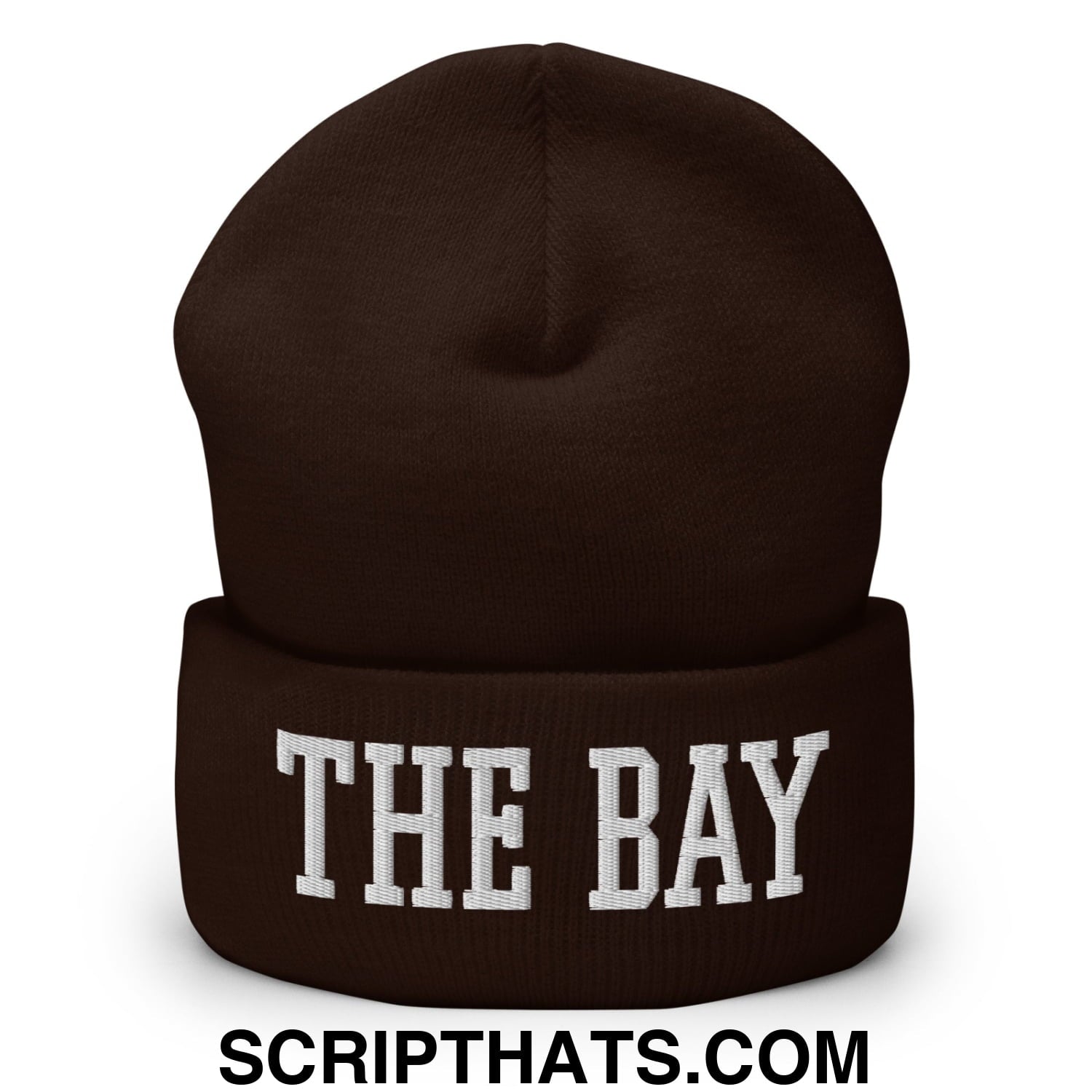 The Bay Varsity College Block Embroidered Knit Cuffed Beanie Brown