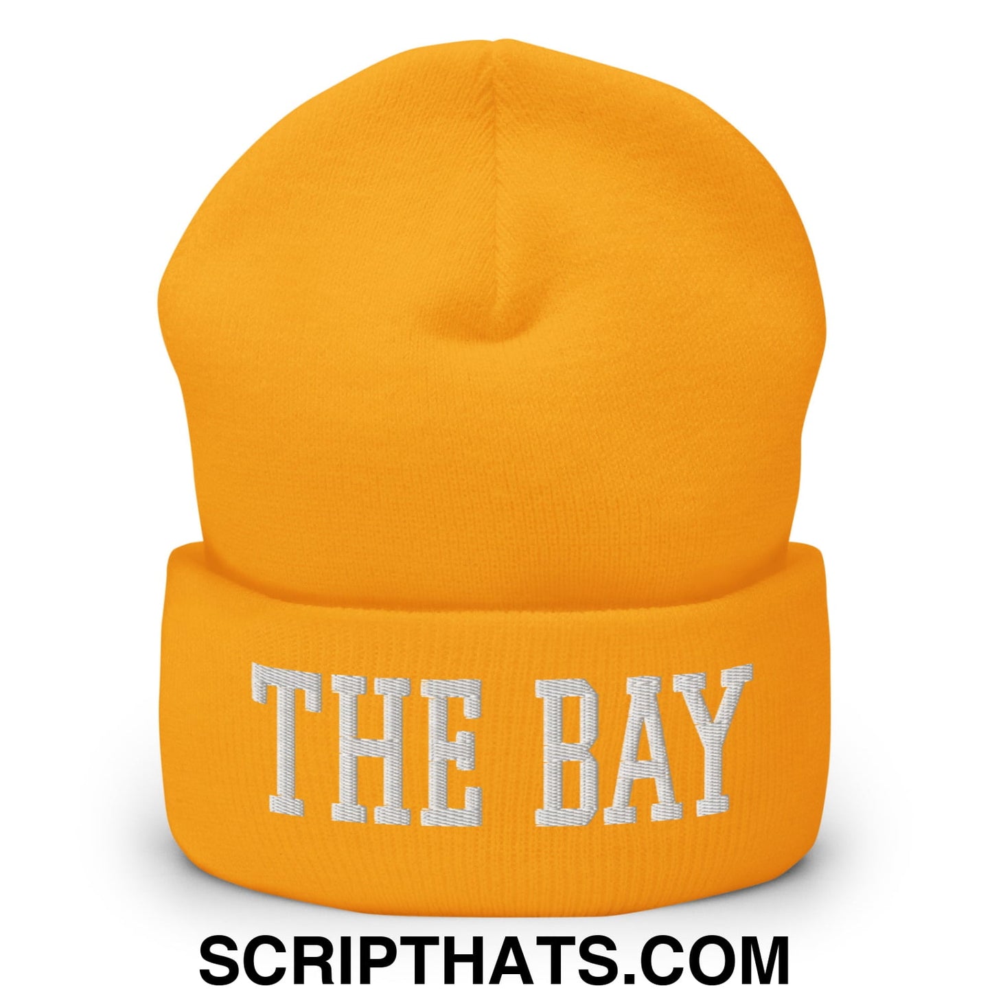 The Bay Varsity College Block Embroidered Knit Cuffed Beanie Gold