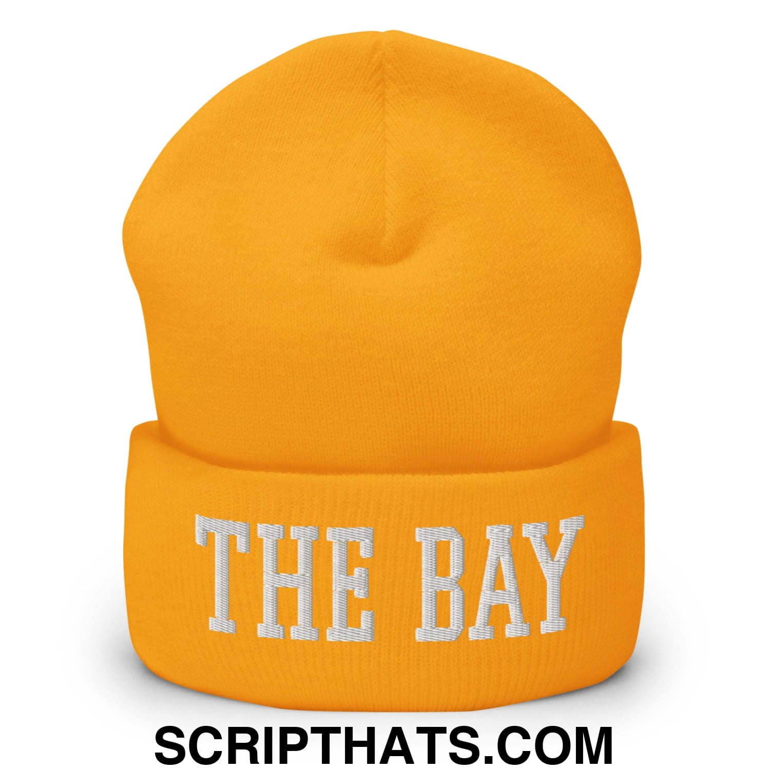 The Bay Varsity College Block Embroidered Knit Cuffed Beanie Gold