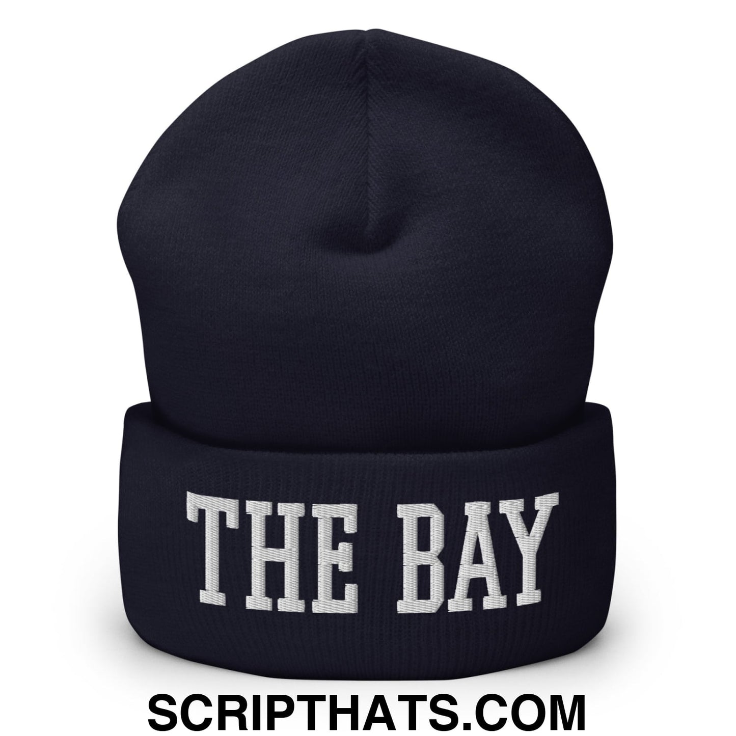 The Bay Varsity College Block Embroidered Knit Cuffed Beanie Navy