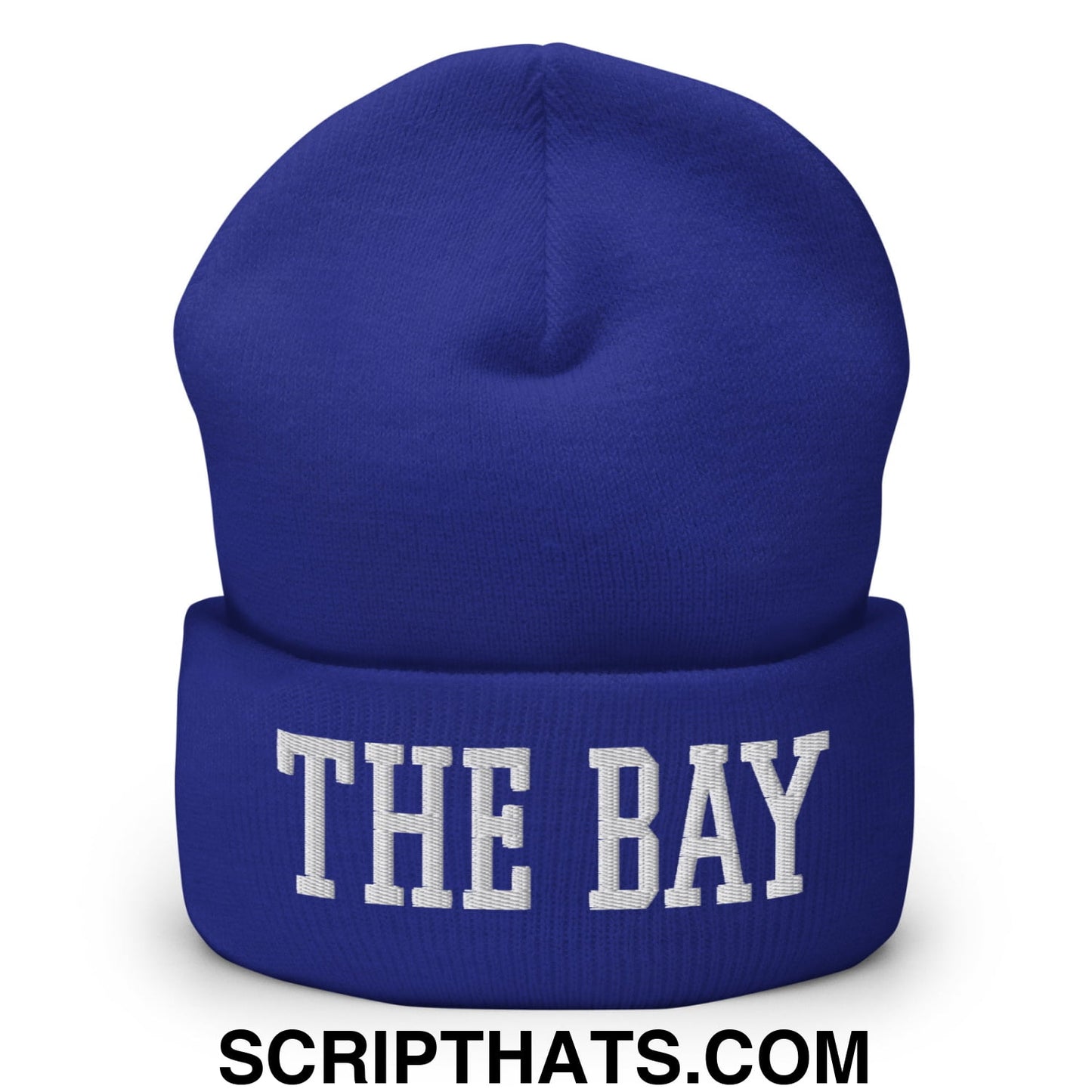 The Bay Varsity College Block Embroidered Knit Cuffed Beanie Royal