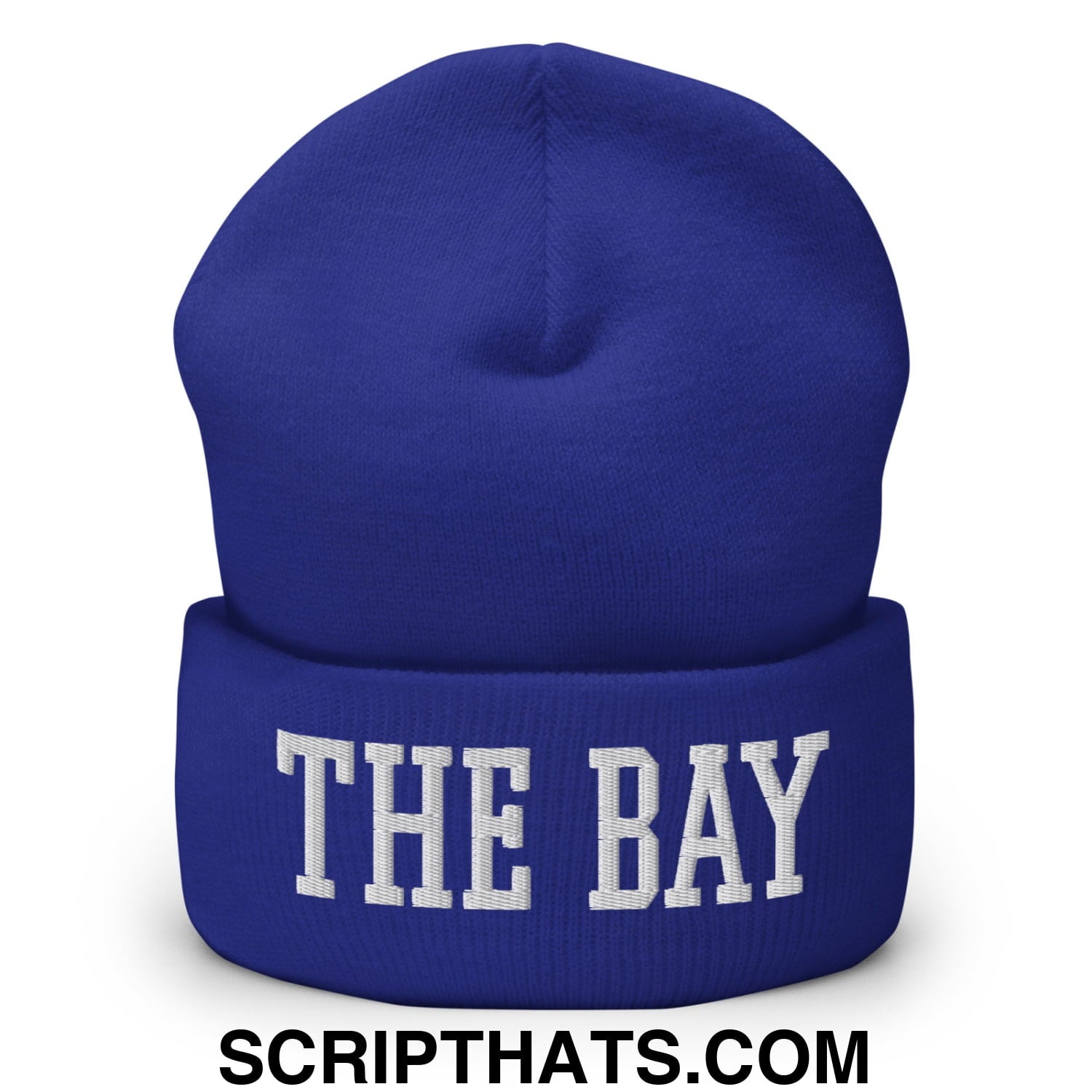 The Bay Varsity College Block Embroidered Knit Cuffed Beanie Royal
