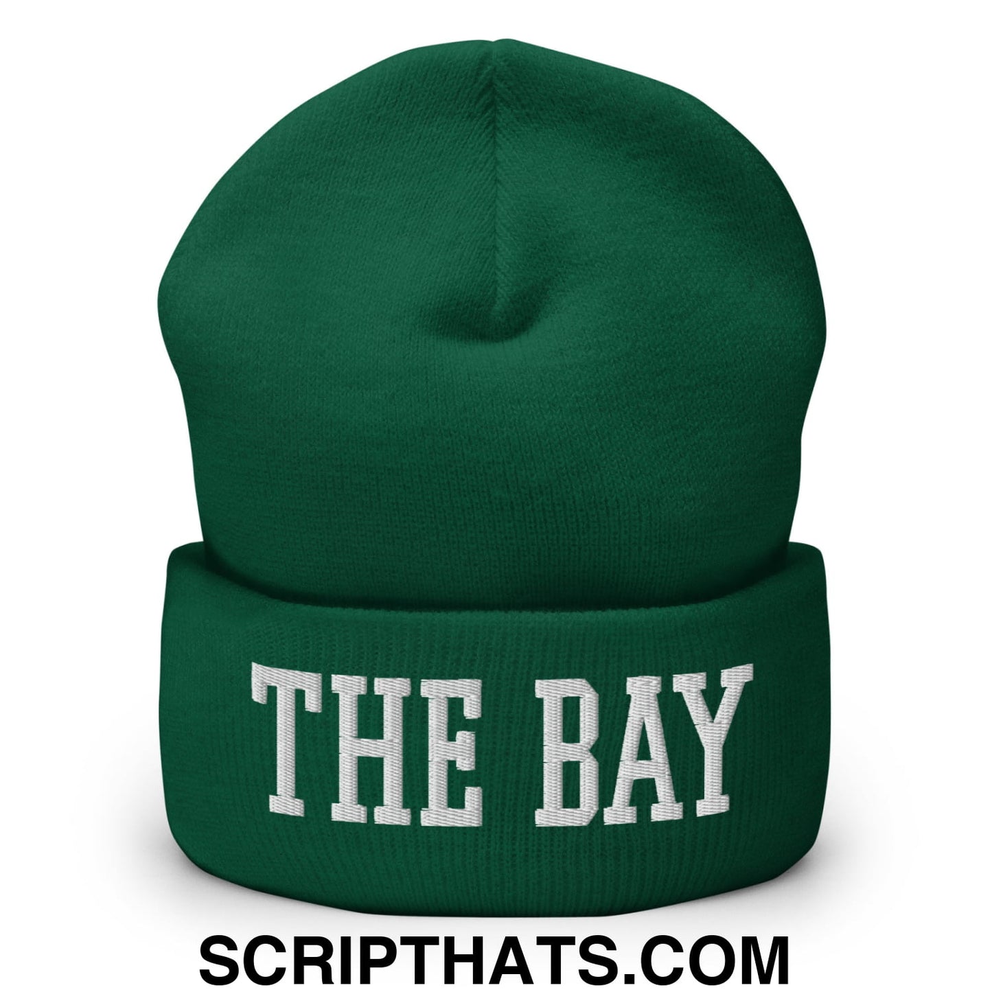 The Bay Varsity College Block Embroidered Knit Cuffed Beanie Spruce