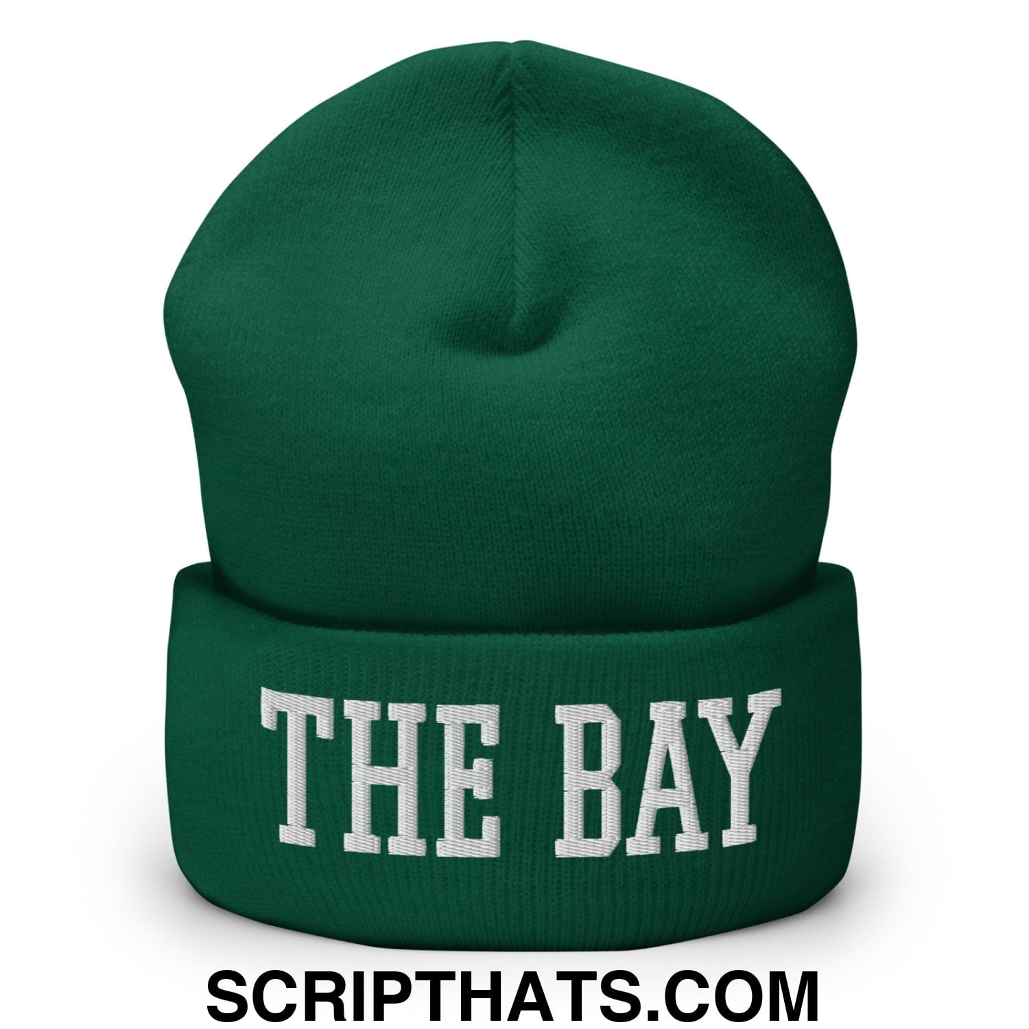 The Bay Varsity College Block Embroidered Knit Cuffed Beanie Spruce