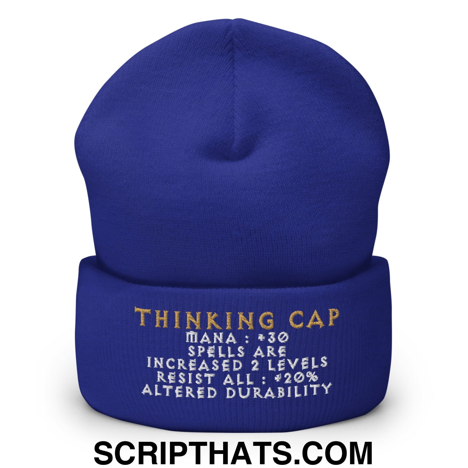 Thinking Cap Diablo Embroidered Knit Cuffed Beanie Royal