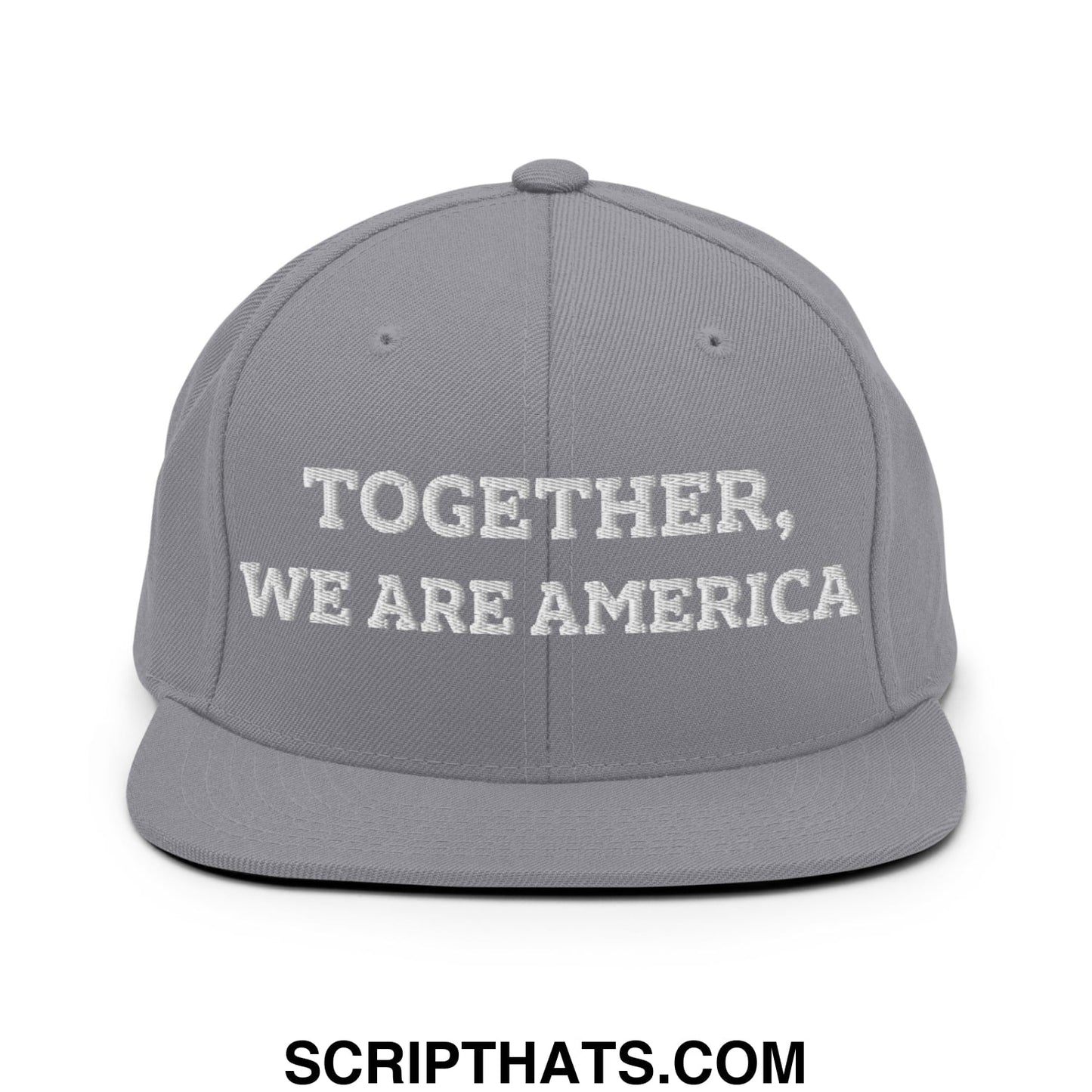 Together, We Are America Embroidered Flat Bill Brim Snapback Hat Silver
