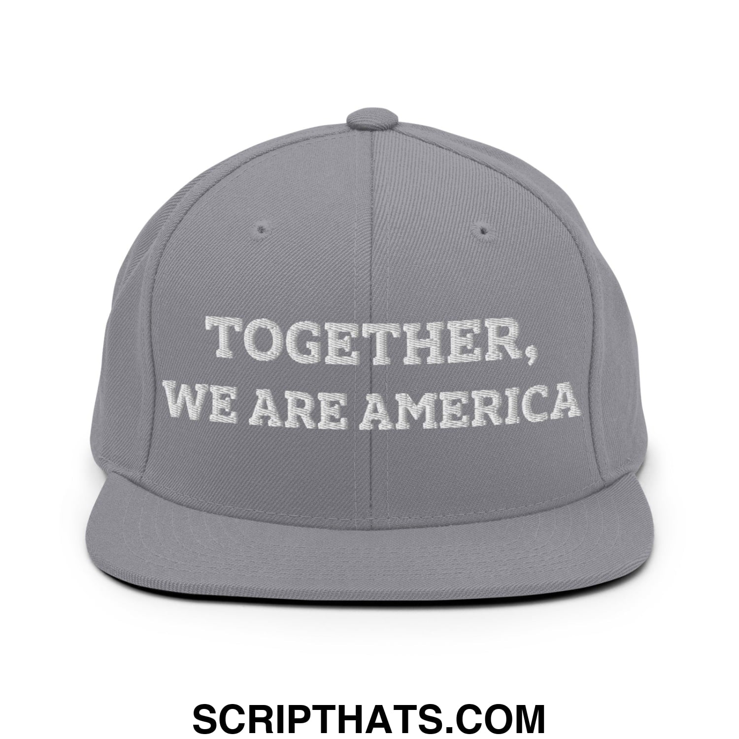 Together, We Are America Embroidered Flat Bill Brim Snapback Hat Silver