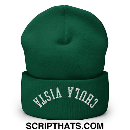 Upside Down Chula Vista Embroidered Knit Cuffed Beanie Spruce