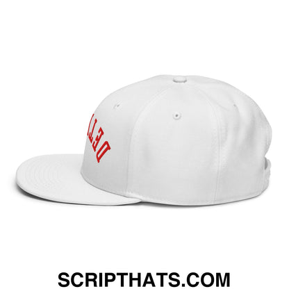 Upside Down Detroit Hockey Embroidered Flat Brim Bill Snapback Hat Black