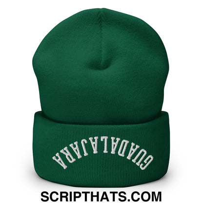 Upside Down Guadalajara Embroidered Cuffed Knit Beanie Spruce
