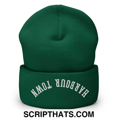 Upside Down Harbour Town Embroidered Cuffed Knit Beanie Spruce