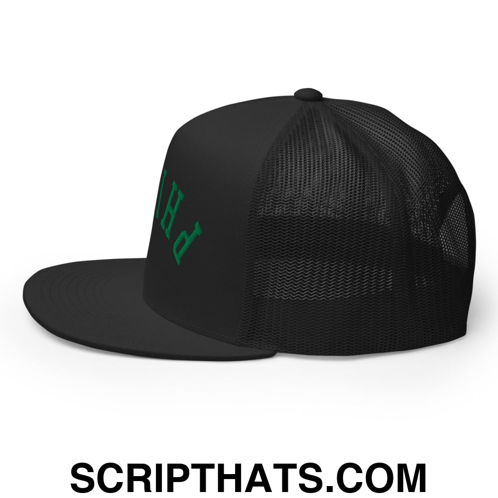 Upside Down Philly Embroidered Flat Bill Brim Trucker Hat Black